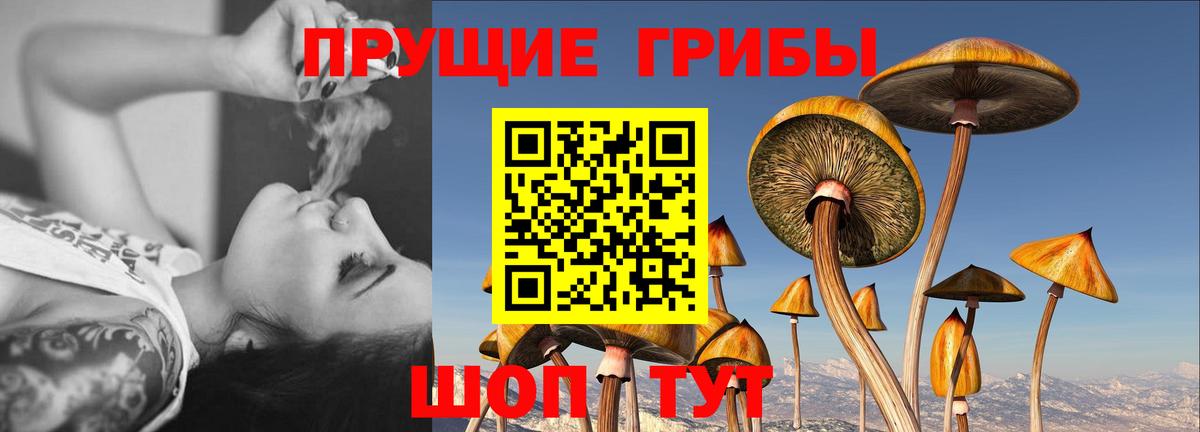 Лабытнанги  Галлюциногенные грибы Psilocybine cubensis  Вход с VPN  Псилоцибиновые грибы MAGIC MUSHROOMS 